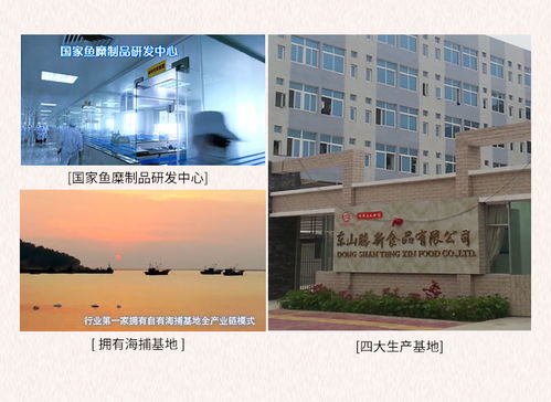 海欣休閑食品手撕蟹肉棒 南寧辦公軟件開發(fā)與銷售團(tuán)隊(duì)的理想能量伴侶